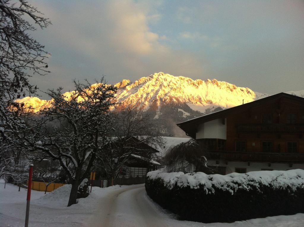 Appartementhaus Zum Schneider Scheffau am Wilden Kaiser Ngoại thất bức ảnh
